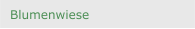Blumenwiese